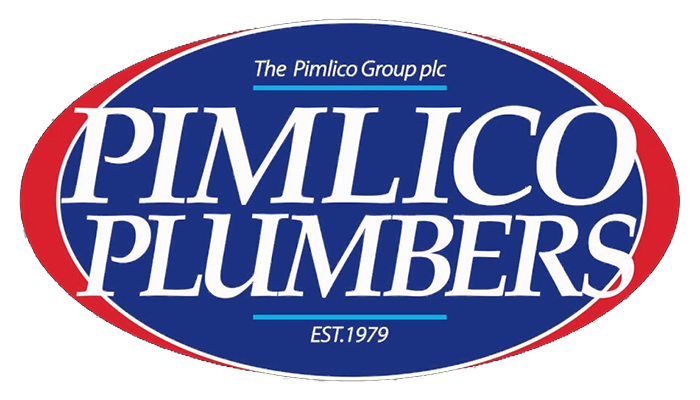 Pimlico Plumbers to bring in 'no jab, no job' employment policy